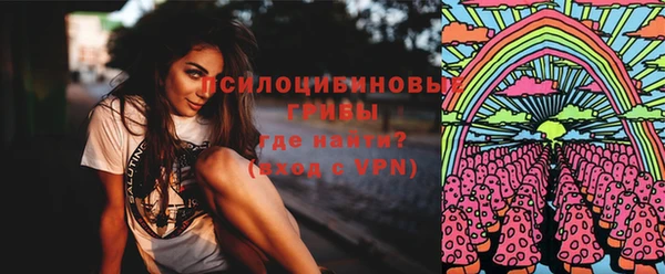 ПСИЛОЦИБИНОВЫЕ ГРИБЫ Абдулино