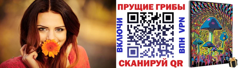 где продают наркотики  Сорск  Галлюциногенные грибы GOLDEN TEACHER 